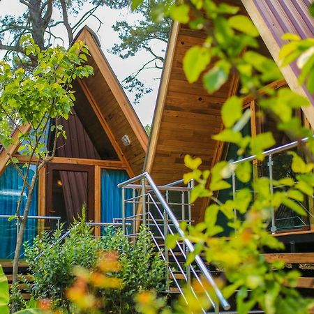Pensjonat Likya Evleri Olympos (Adults Only) Zewnętrze zdjęcie