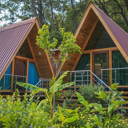 Pensjonat Likya Evleri Olympos (Adults Only) Zewnętrze zdjęcie