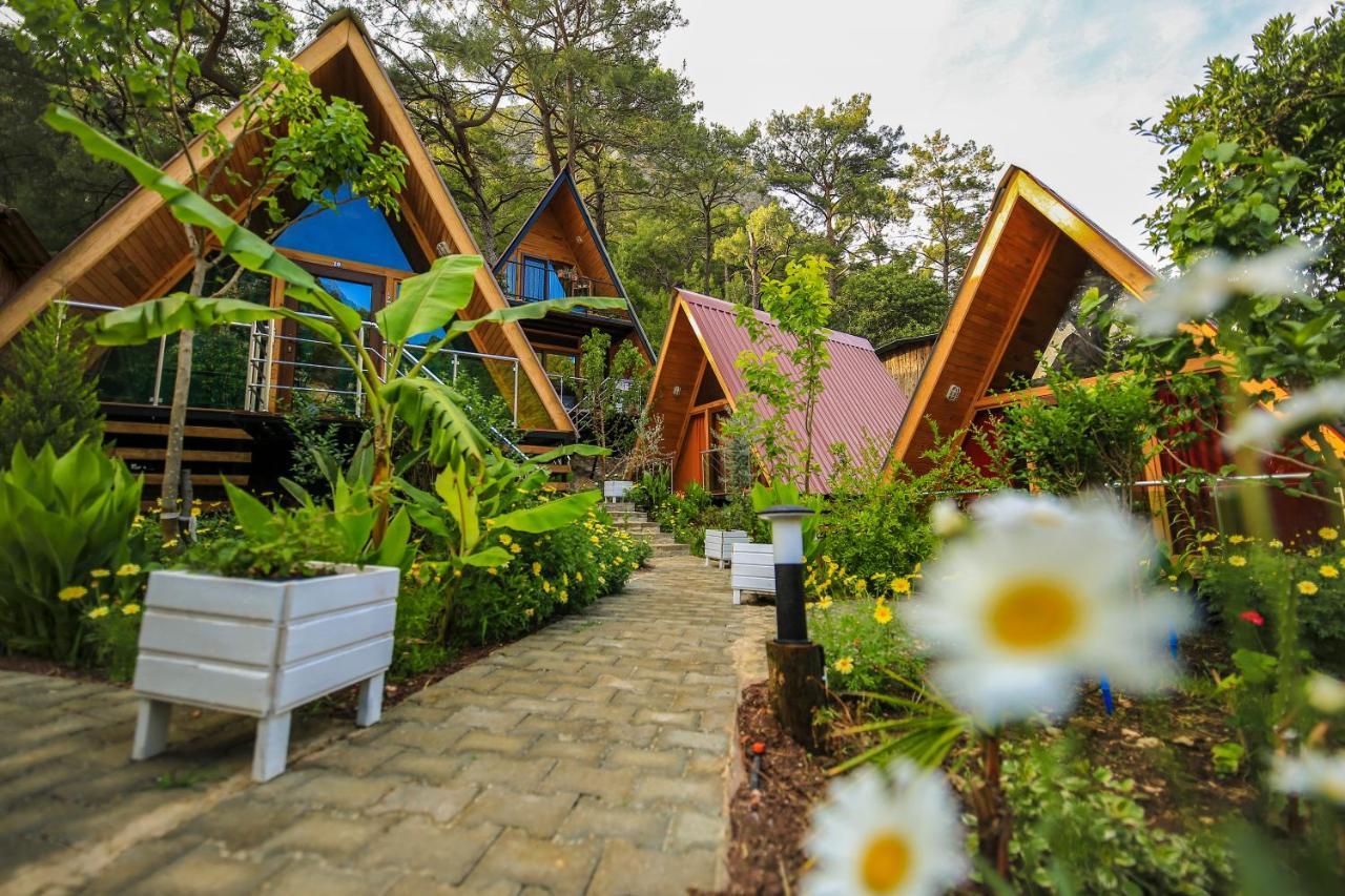 Pensjonat Likya Evleri Olympos (Adults Only) Zewnętrze zdjęcie