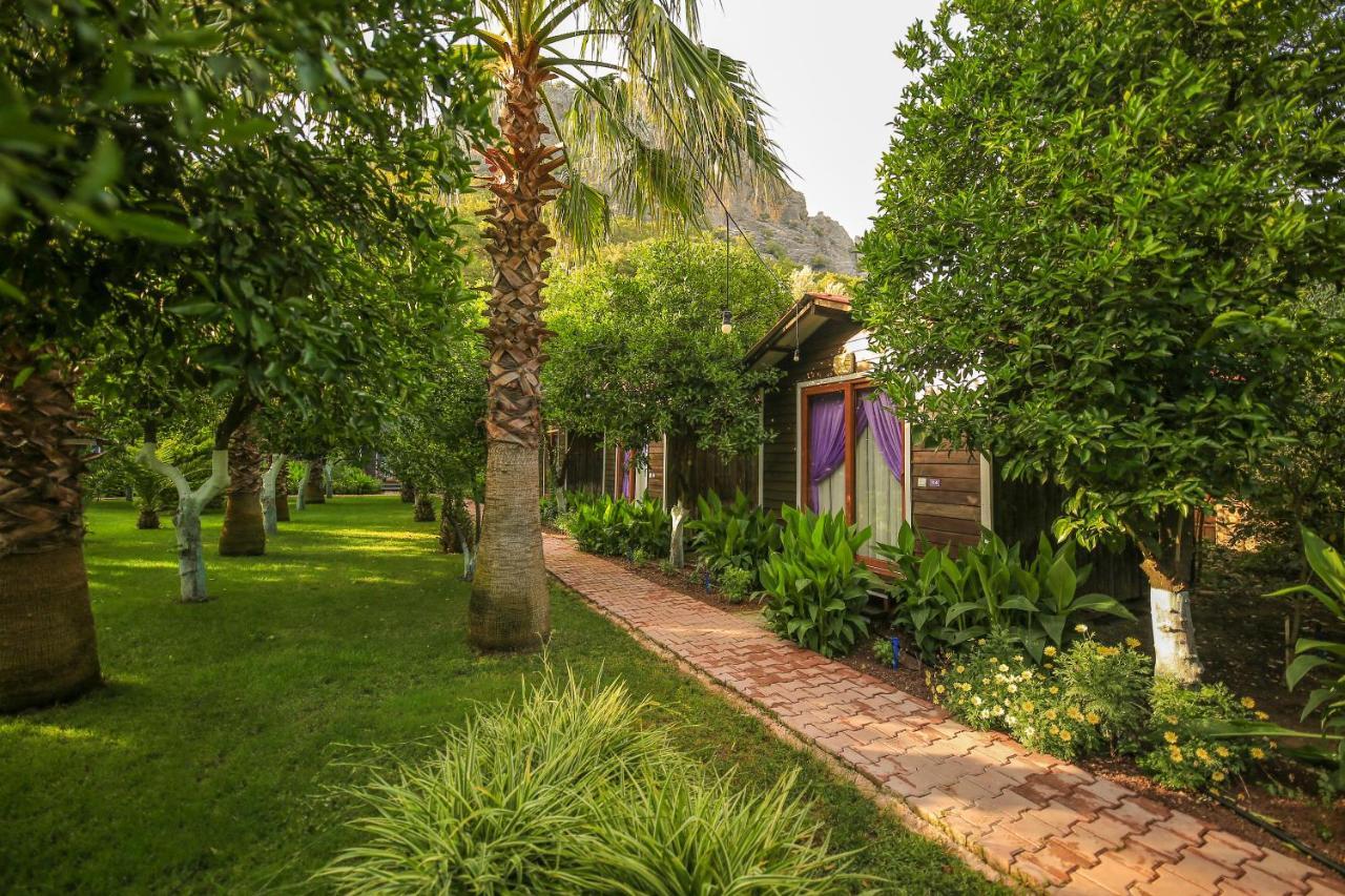 Pensjonat Likya Evleri Olympos (Adults Only) Zewnętrze zdjęcie