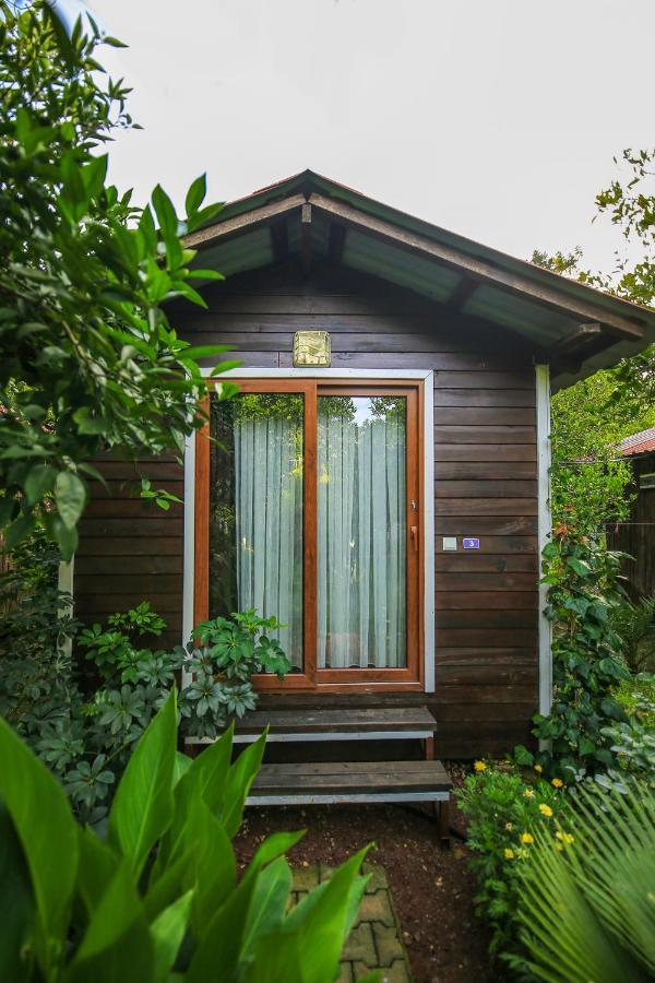 Pensjonat Likya Evleri Olympos (Adults Only) Zewnętrze zdjęcie