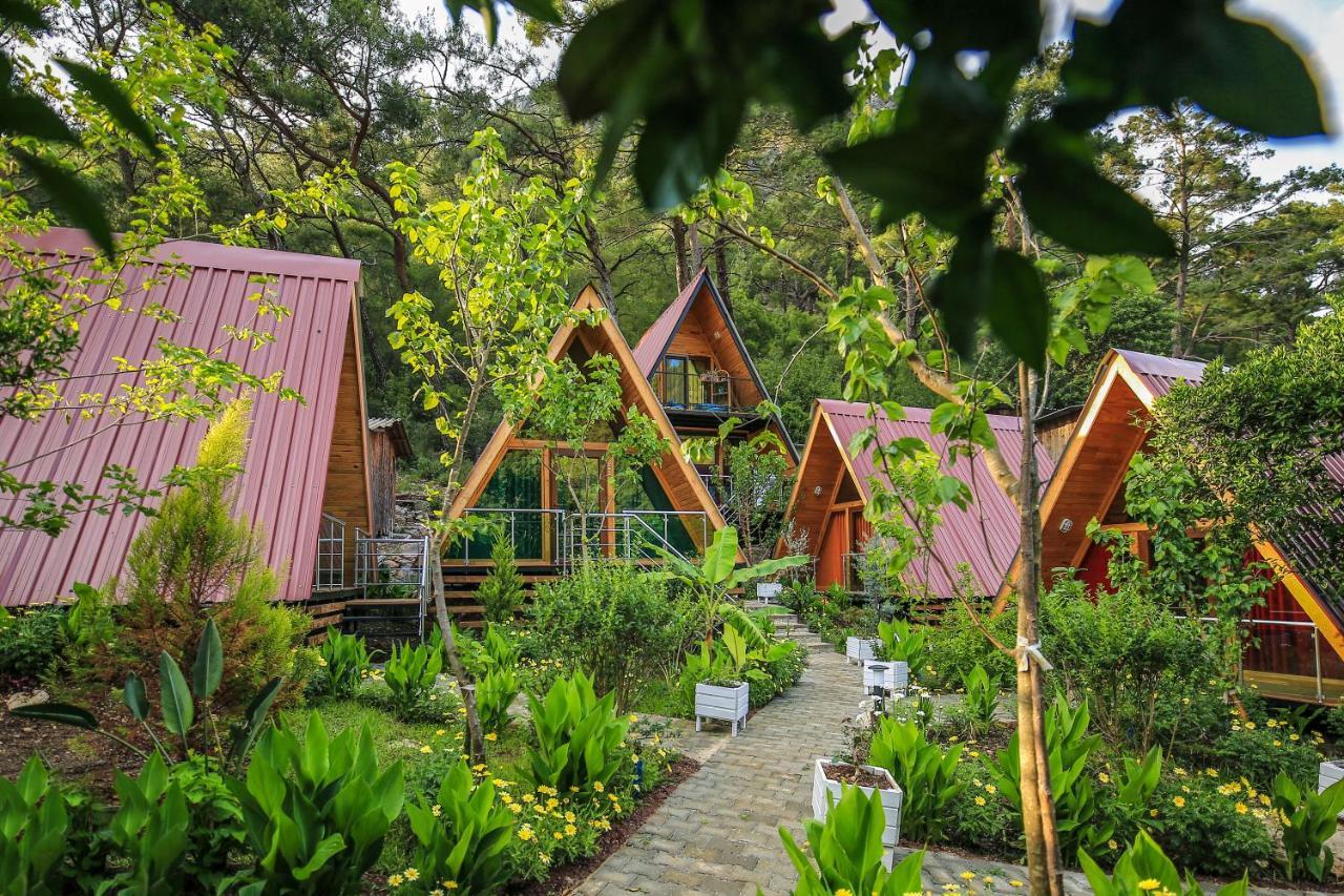 Pensjonat Likya Evleri Olympos (Adults Only) Zewnętrze zdjęcie