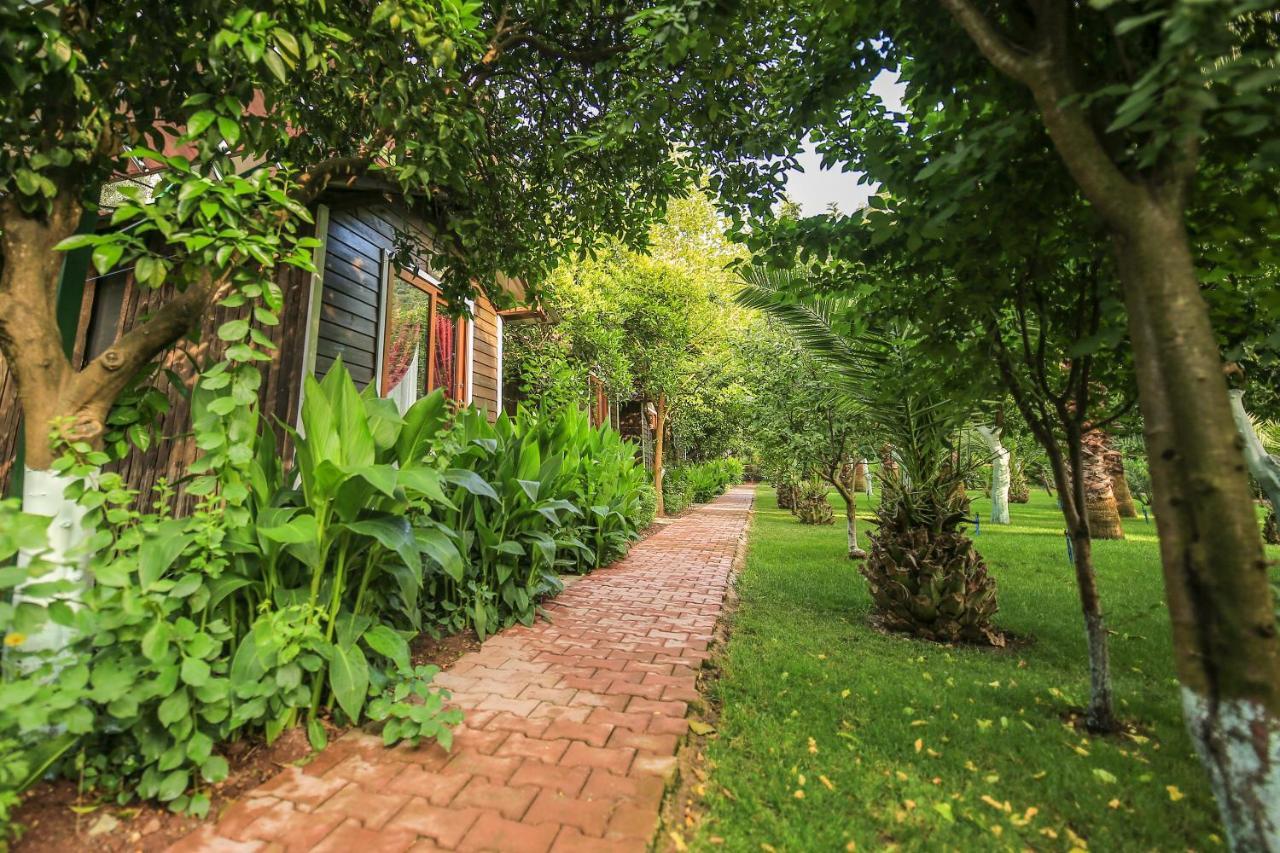 Pensjonat Likya Evleri Olympos (Adults Only) Zewnętrze zdjęcie