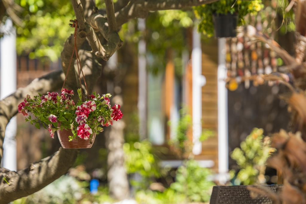 Pensjonat Likya Evleri Olympos (Adults Only) Zewnętrze zdjęcie