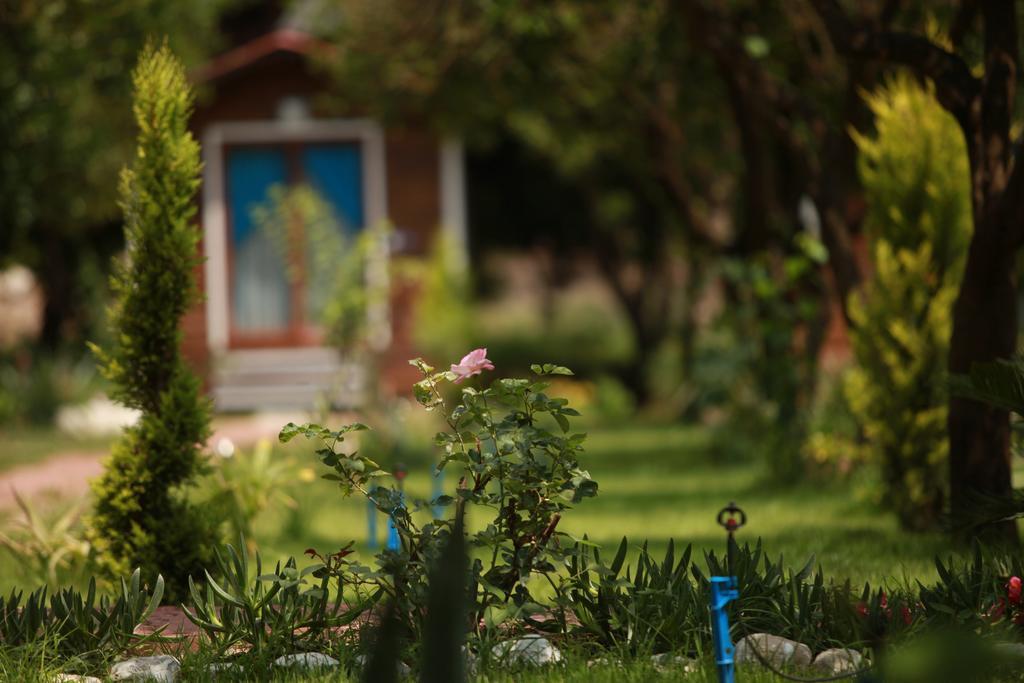 Pensjonat Likya Evleri Olympos (Adults Only) Zewnętrze zdjęcie