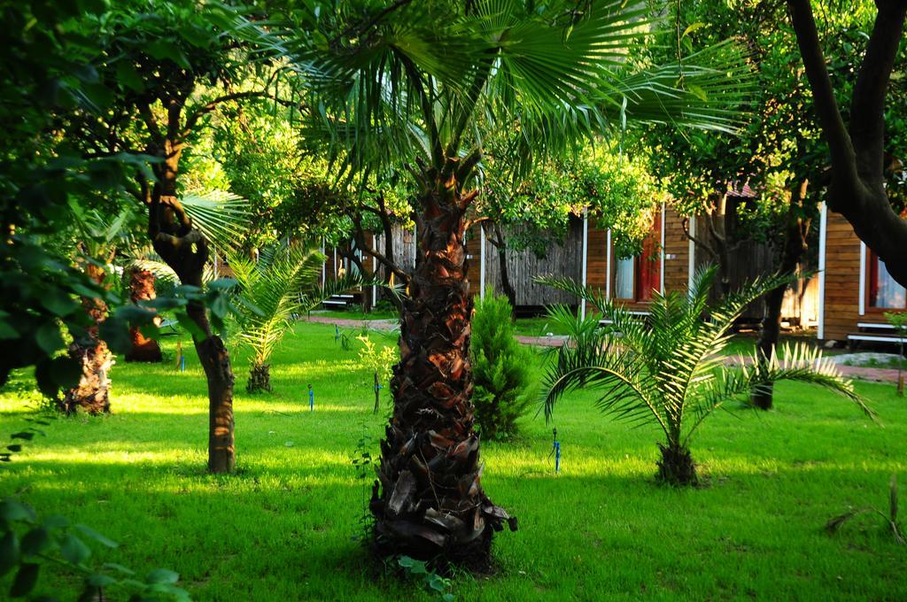 Pensjonat Likya Evleri Olympos (Adults Only) Zewnętrze zdjęcie