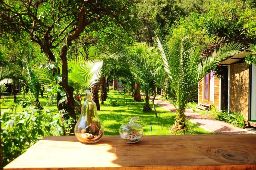 Pensjonat Likya Evleri Olympos (Adults Only) Zewnętrze zdjęcie