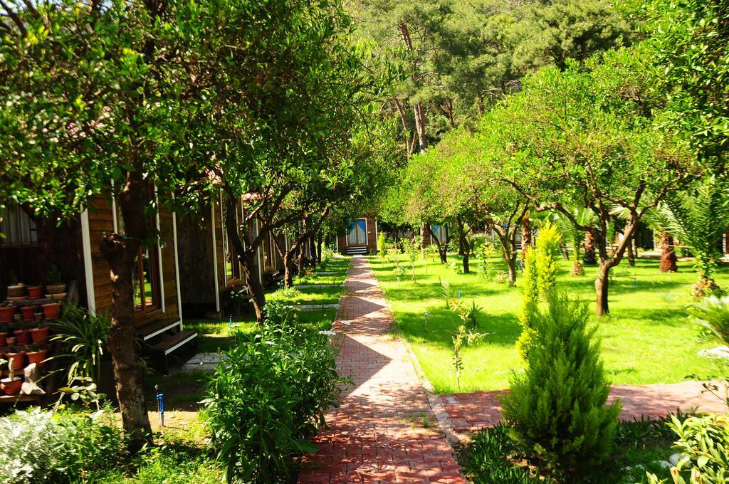 Pensjonat Likya Evleri Olympos (Adults Only) Zewnętrze zdjęcie