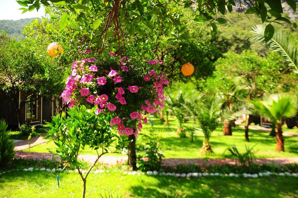 Pensjonat Likya Evleri Olympos (Adults Only) Zewnętrze zdjęcie