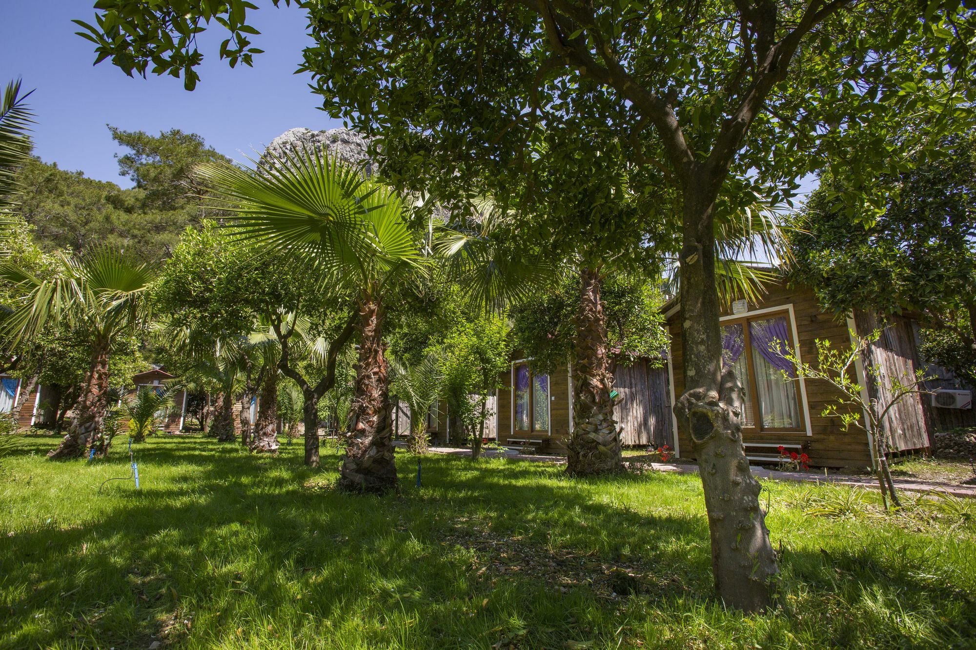 Pensjonat Likya Evleri Olympos (Adults Only) Zewnętrze zdjęcie